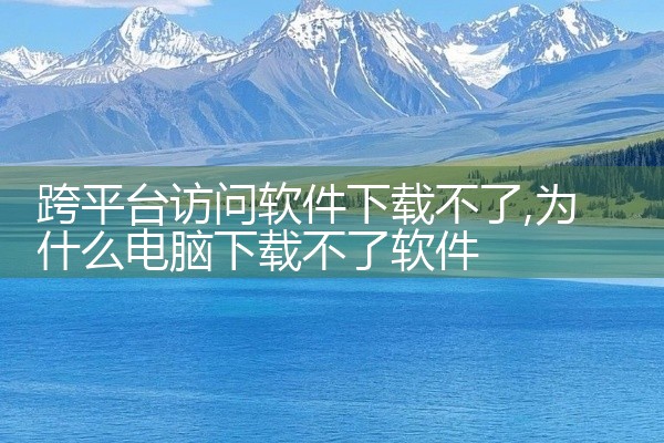 跨平台访问软件下载不了