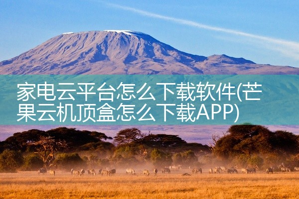 家电云平台怎么下载软件