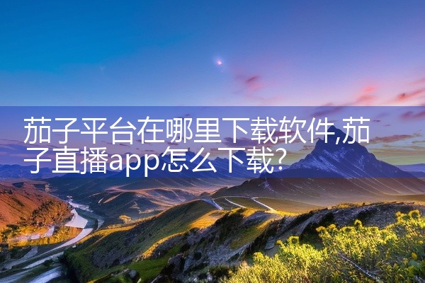 茄子平台在哪里下载软件