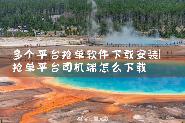 多个平台抢单软件下载安装