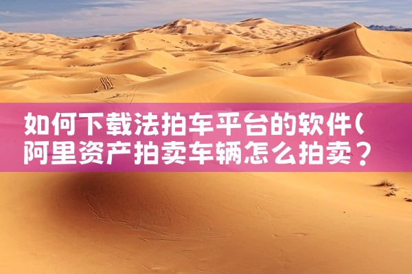 如何下载法拍车平台的软件