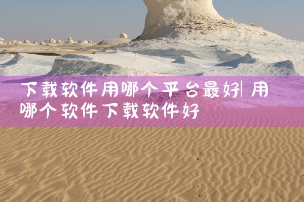 下载软件用哪个平台最好